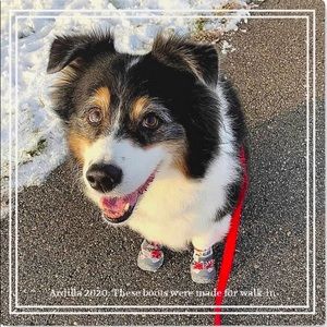 Meet your Posher, Wendy